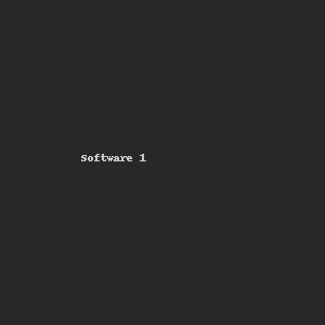 Software 5